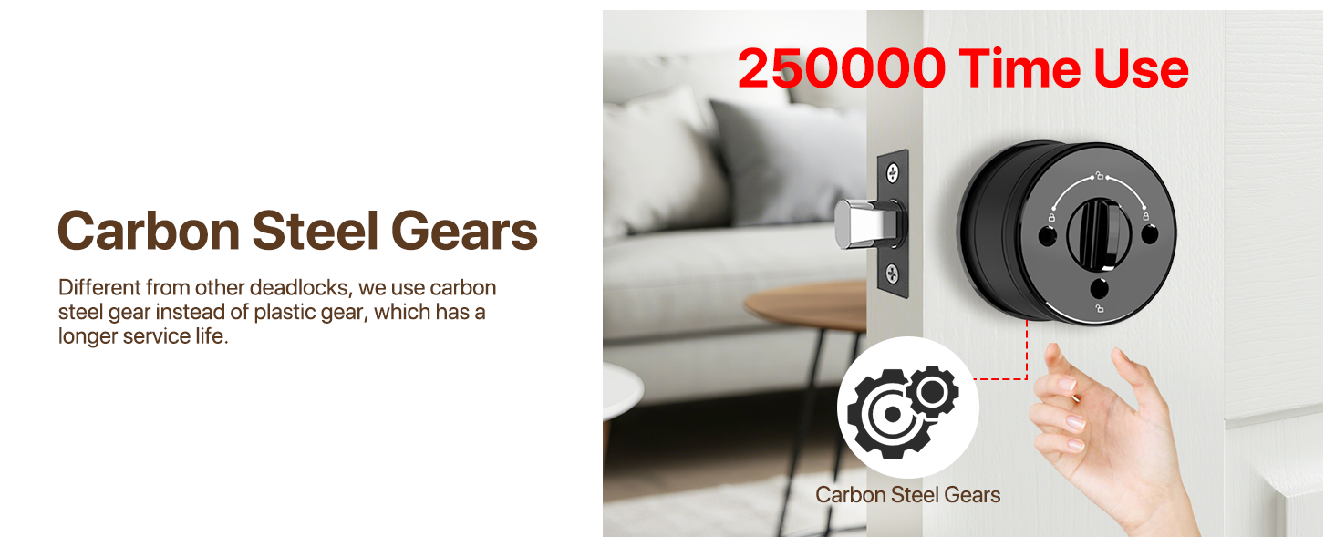 Carbon Steel Gears