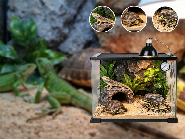 thermostat controller