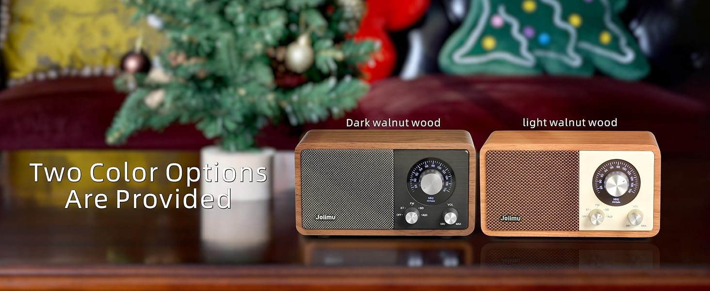 FM Radio Speaker