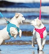 Dog Harness Step in Dog Vest Harness, Reflective Adjustable Puppy No Pull Harness Breathable Soft...