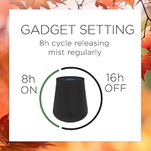 Gadget setting 8h cycle releasing mist regularly