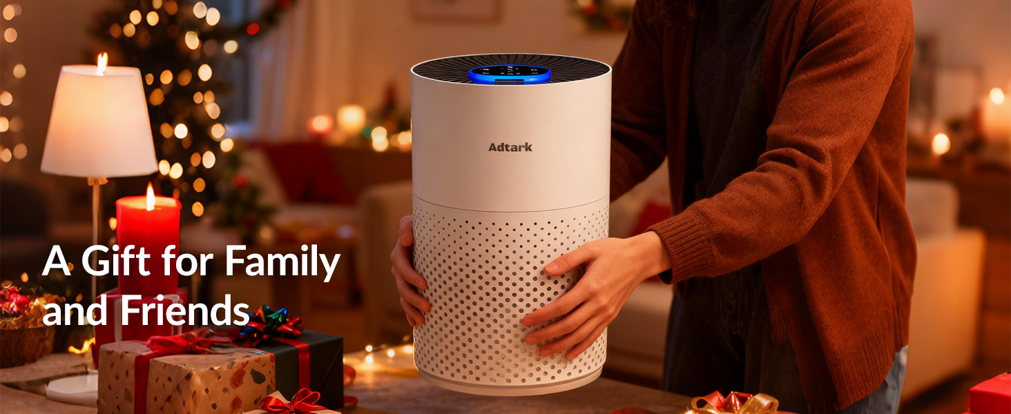 Air purifier for home