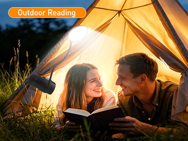 clip on reading light for bed