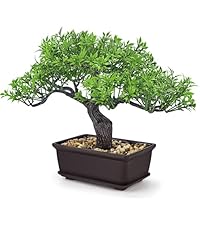 https://m.media-amazon.com/images/S/aplus-media-library-service-media/fecf942a-a8fa-4df1-a2ac-f69ae2e5510e.__AC_SR200,225___.jpg