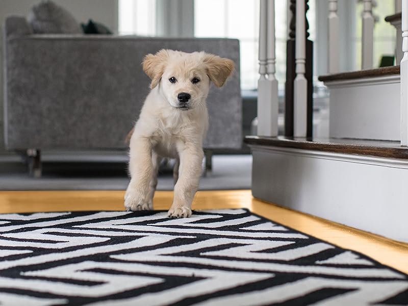 Rug pads, under rug pad, carpet pad