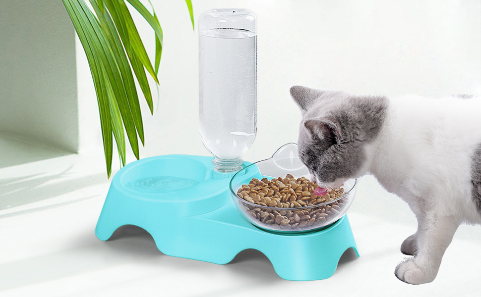 cat food water bowl double bowls automatic