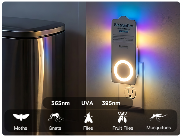 fly killer gnat killer plug in best safe electric flying insect trap fruit fly bug blue UV light