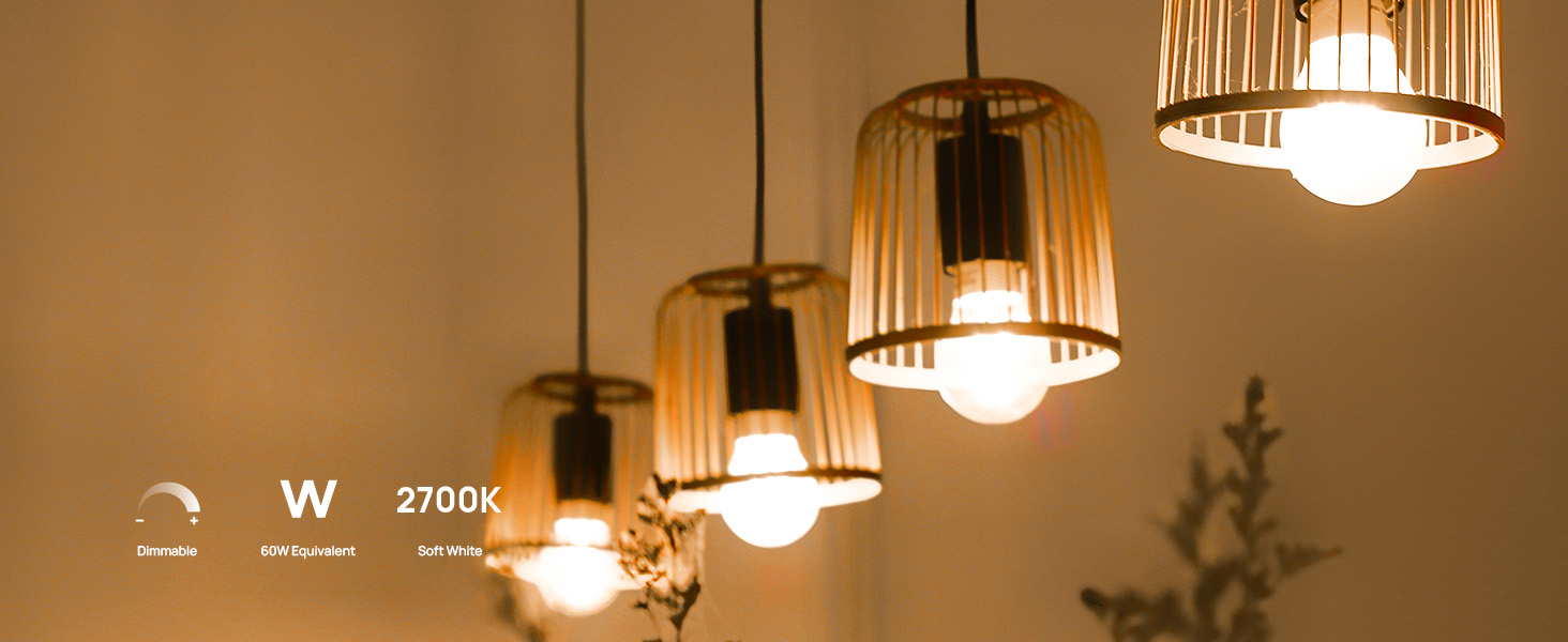 A19 Dimmable LED LIGHT BULBS