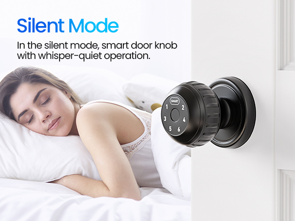 keypad door lock with handle