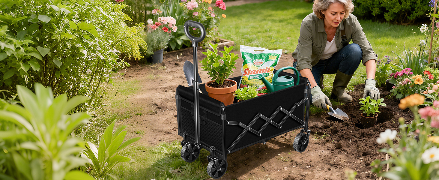 wagon carts