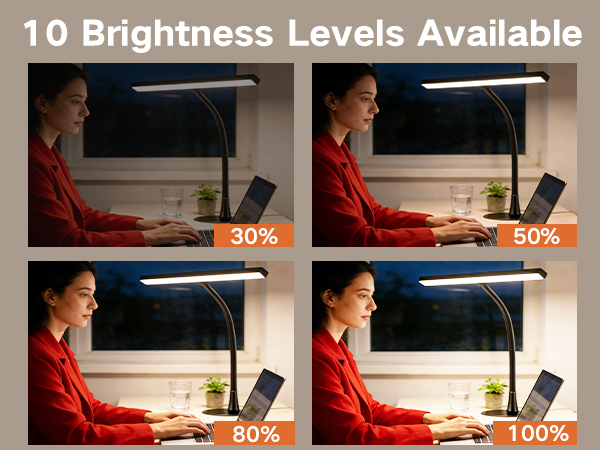 Text reads '10 Brightness Levels Available'. Grid showing same interior scene at different brightness levels from 10% to 100%, demonstrating range of lighting adjustments.