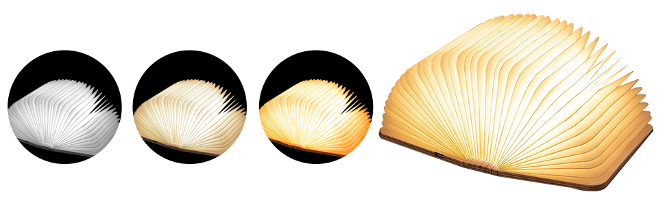 the book of the month : japanese book of the month