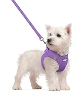 rabbitgoo Dog Harness Small Sized and Leash Set, Step in Soft Light Puppy Vest, Breathable Mesh P...
