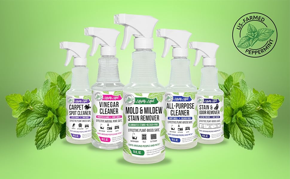 Mold, Mildew, Bathroom, Tile, Outdoor, Stain Remover, Mold Remover, sugelary, glassguard