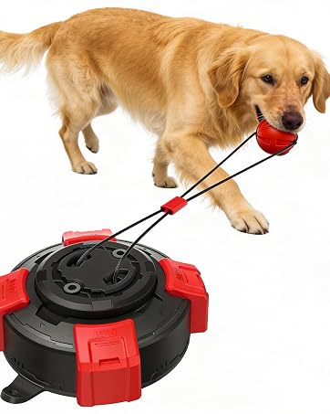 https://m.media-amazon.com/images/S/aplus-media-library-service-media/921aa0e6-c0a3-4605-929b-f682ccb18bbd.__CR295,0,1637,2048_PT0_SX362_V1___.jpg