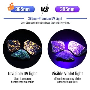 Text reads '365nm vs 395nm', '365nm-Premium UV Light', 'Clear Observation You Can Trust, Each and Every Time', 'Invisible UV light', 'Visible Violet light', 'Clear &amp; accurate fluorescence reaction'. Comparison of two UV light effects on fluorescent minerals.