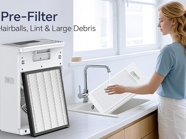Air Purifiers for Home