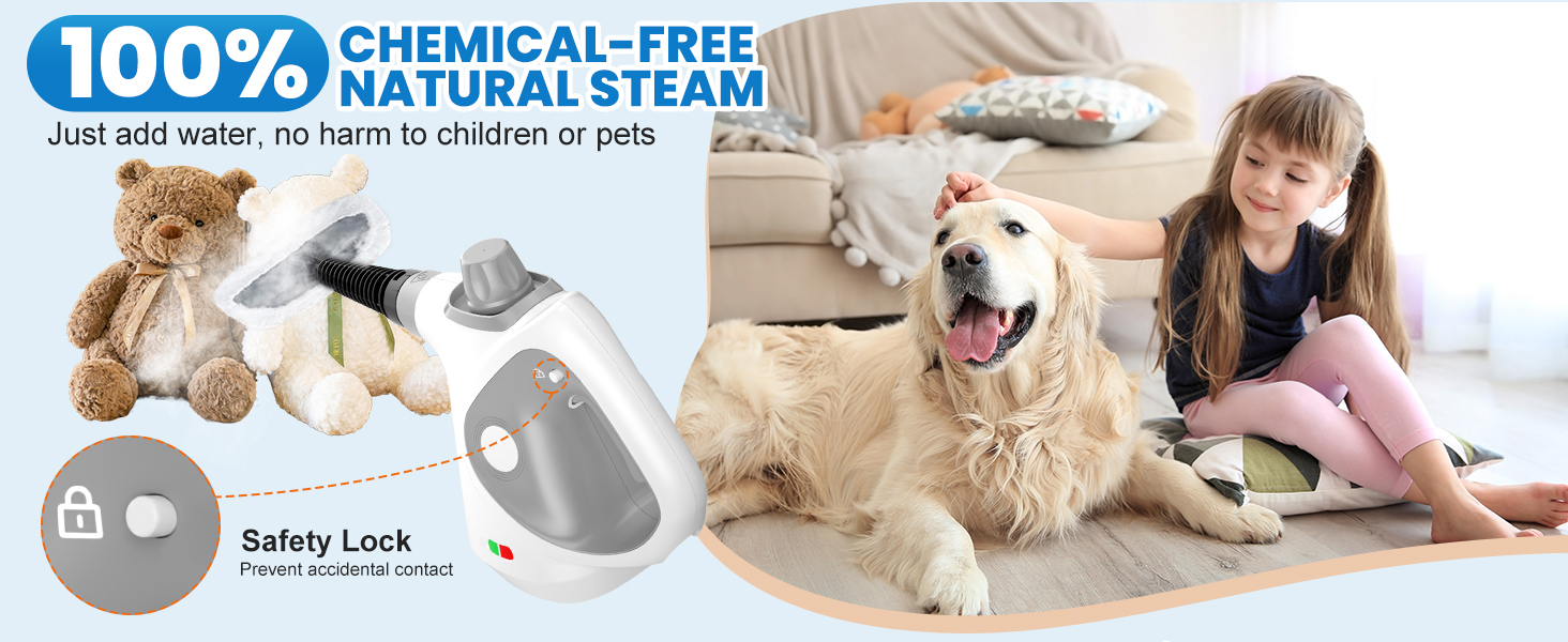steam cleaner handheld