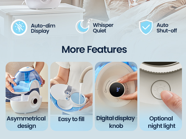 plant humidifier indoor