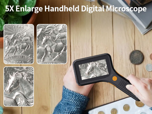 coin microscope for adults