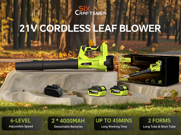 21V Cordless Leaf Blower Kit