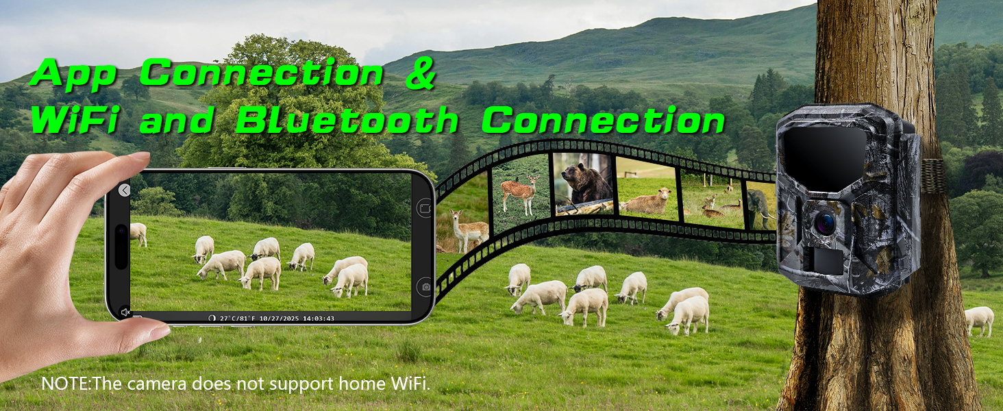 App Connection &amp;amp;amp; WiFi and Bluetooth Connection