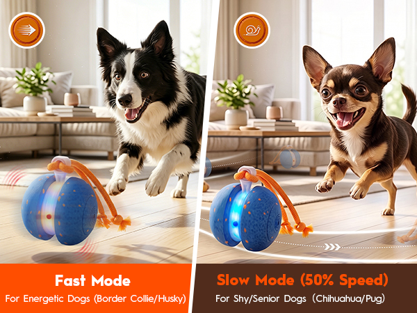 Interactive Rolling Dog Balls