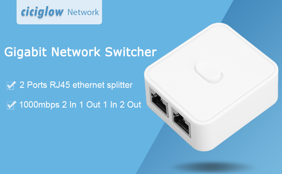 Gigabit Network Switch