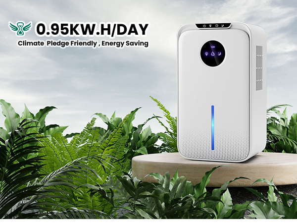 Dehumidifiers for home
