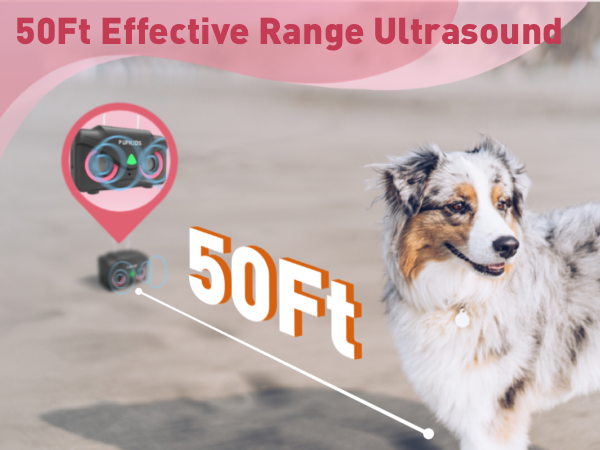 dog bark deterrent devices