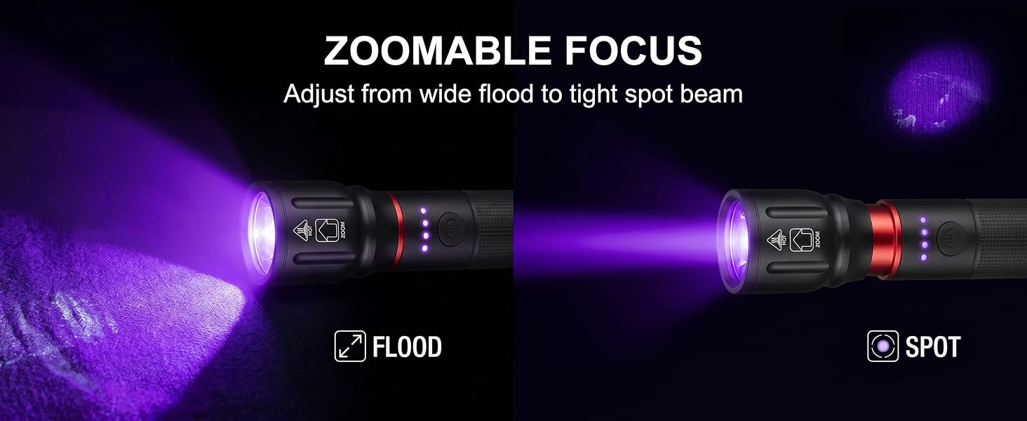 Zoom