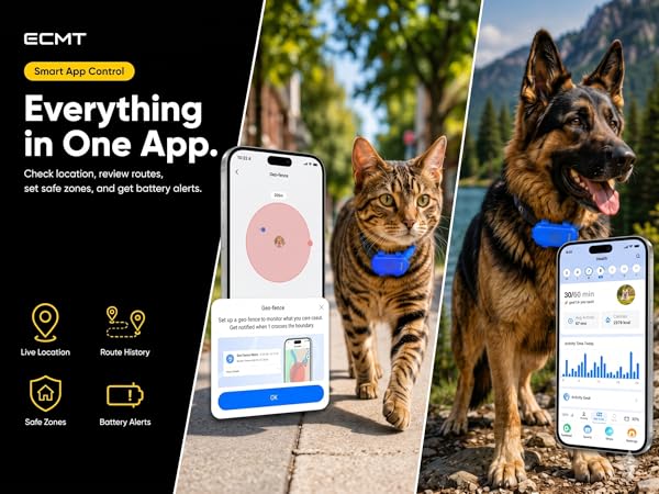 cat tracker