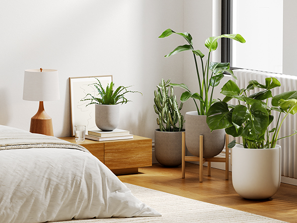 10 inch plant pot