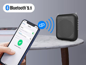 Bluetooth voice amplifier