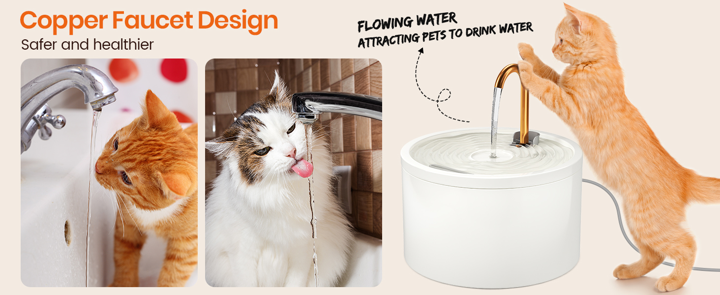 stainless steel water fountain for cats