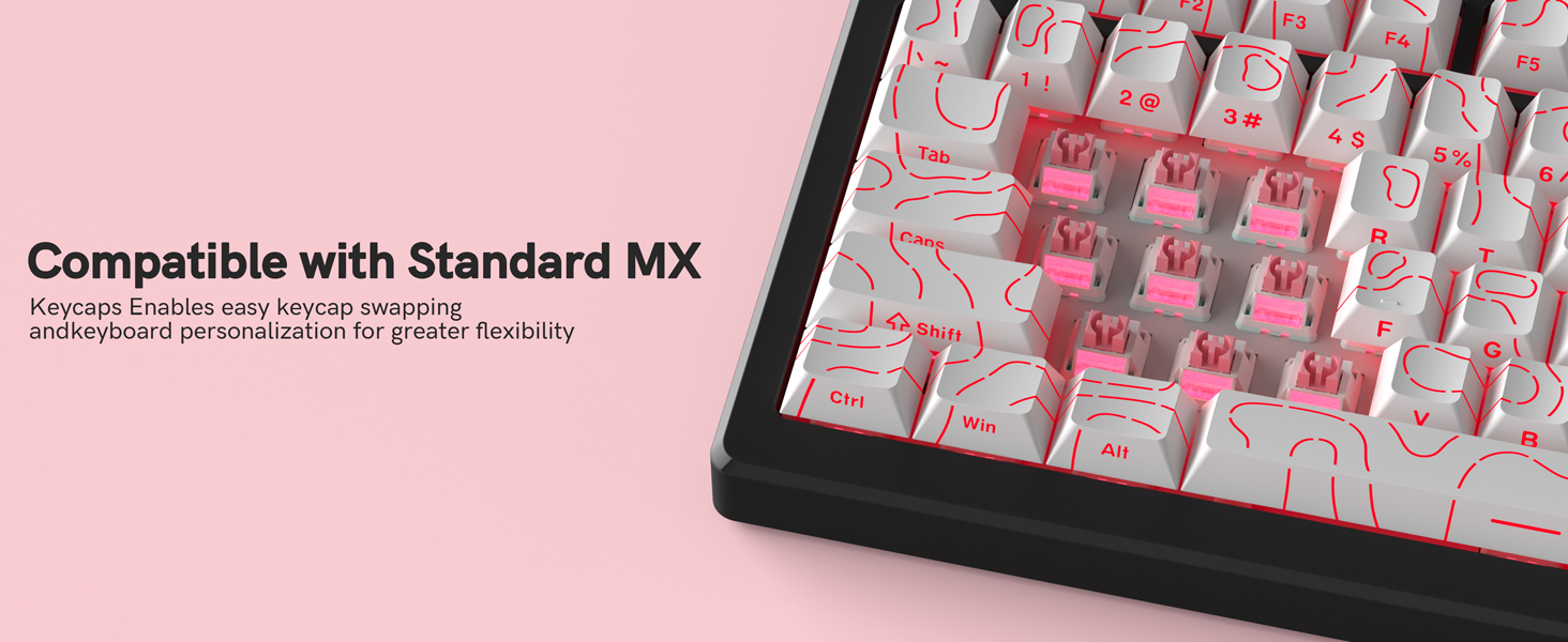 Engineered for Excellence