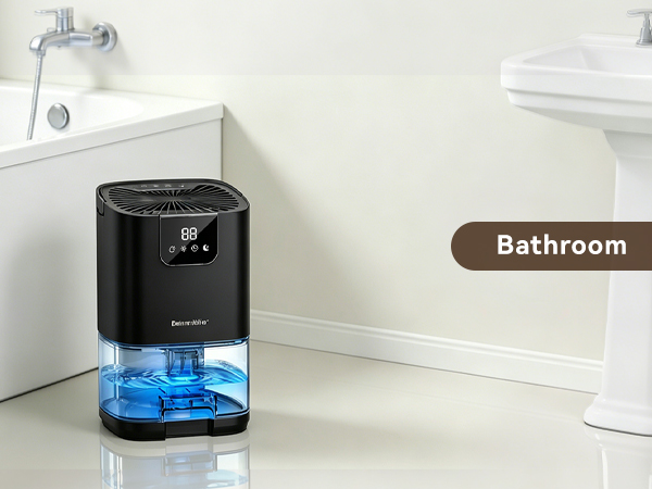 dehumidifier for bathroom