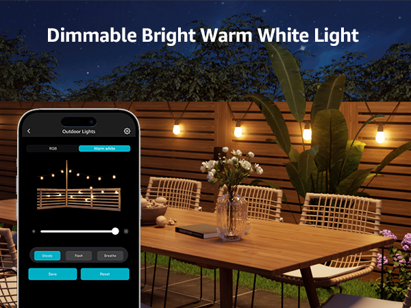 Dimmable Warm White Light