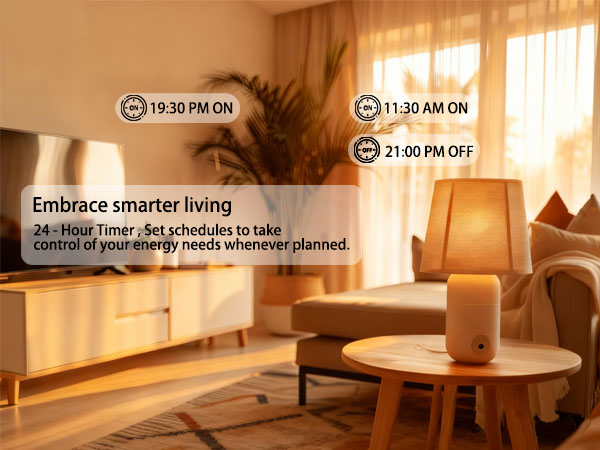 AiSeek Timer Schedule