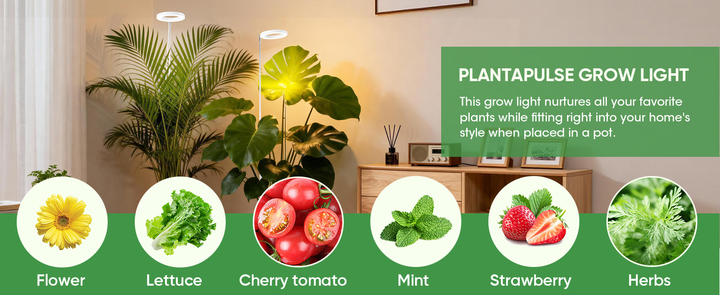 Grow Light for Indoor Plants,