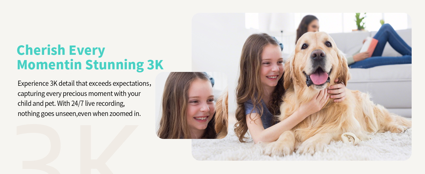 pet camera indoor with phone app