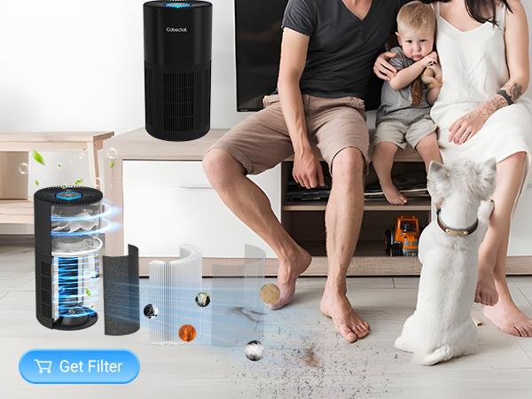 Home Air Purifier