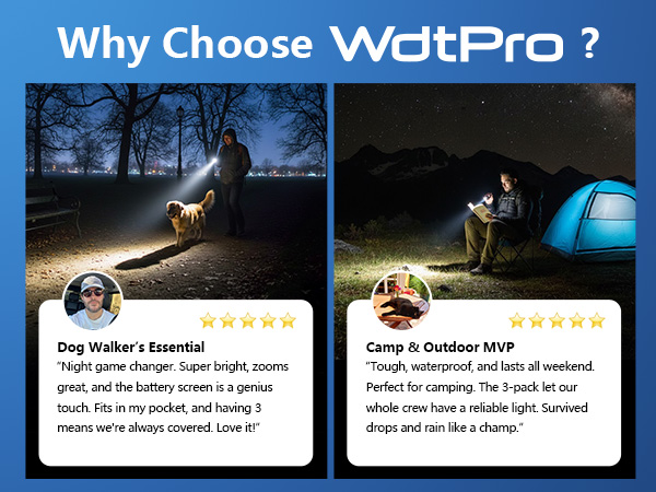 Why choose WdtPro ?