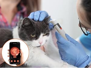 The MOBI Smart Otoscope can also be used for pets