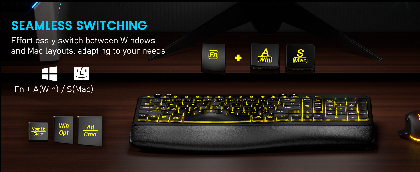 Win & Mac Layout