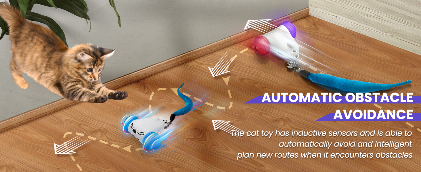 automatic cat toy