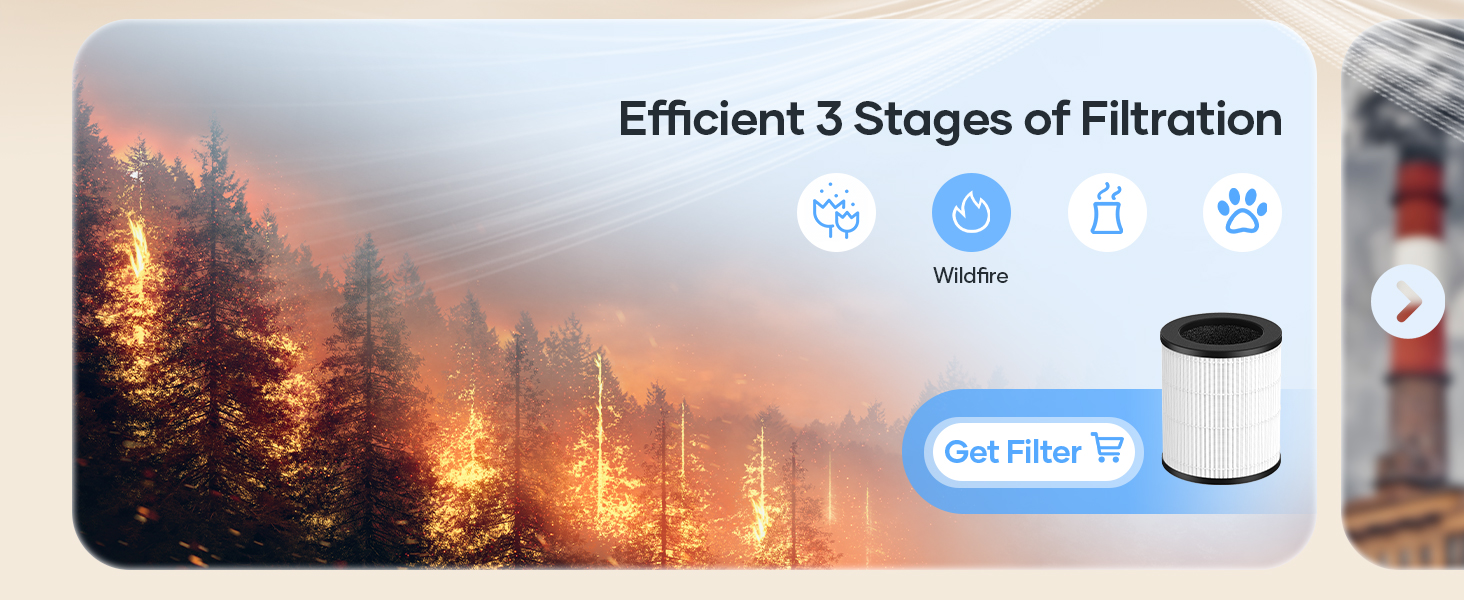 air purifier for wildfire