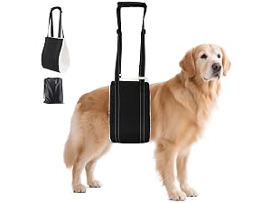 https://m.media-amazon.com/images/S/aplus-media-library-service-media/c119a687-aefc-4d49-8008-690afaad9c28.__CR0,0,2666,2000_PT0_SX300_V1___.jpg