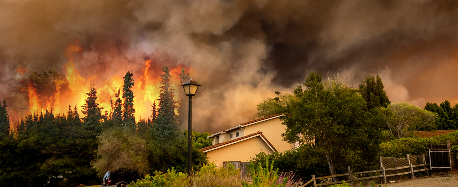 wild fire