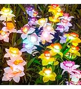 TONULAX Solar Garden Lights, Solar Daffodil Flower Lights, Color Changing Solar Lights for Outdoo...
